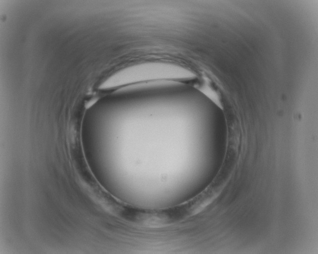 X0000083060597200702232023