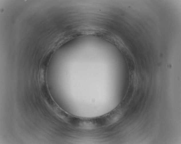 X0000083060598200702232023