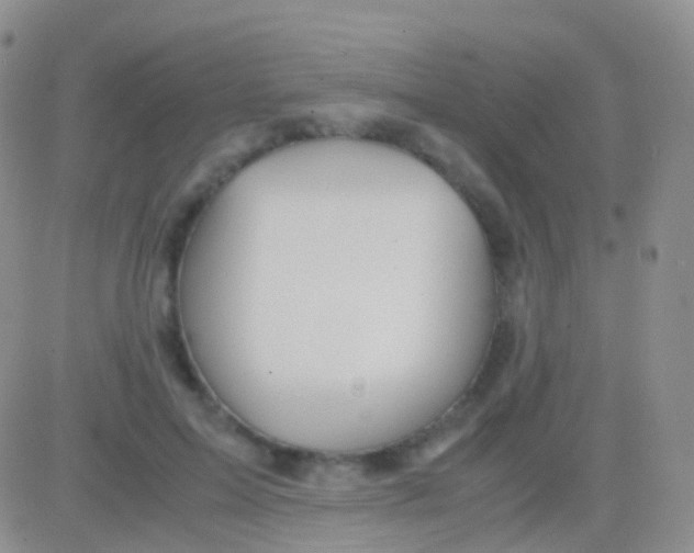 X0000083060599200702232023