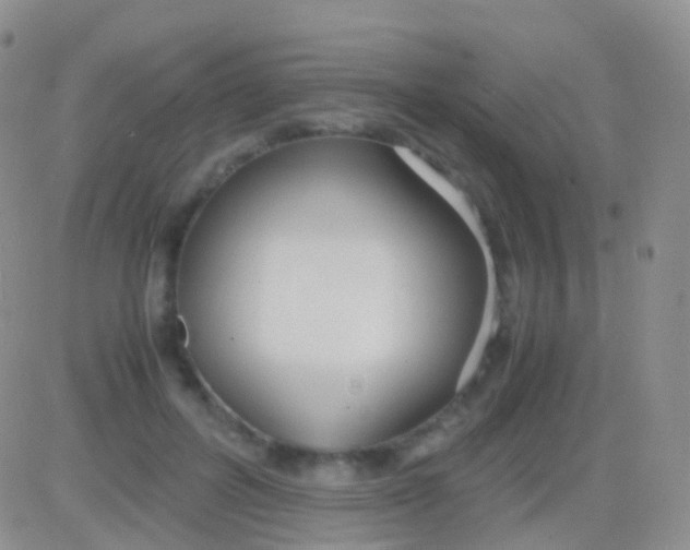 X0000083060600200702232023