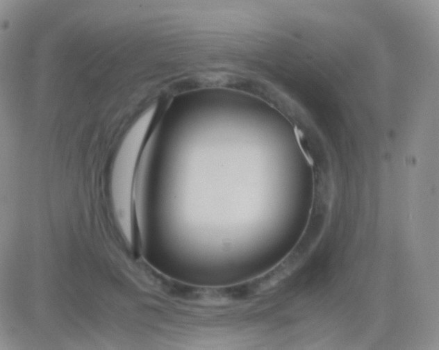 X0000083060601200702232023