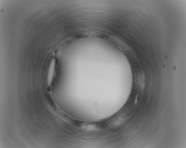 X0000083060602200702232023