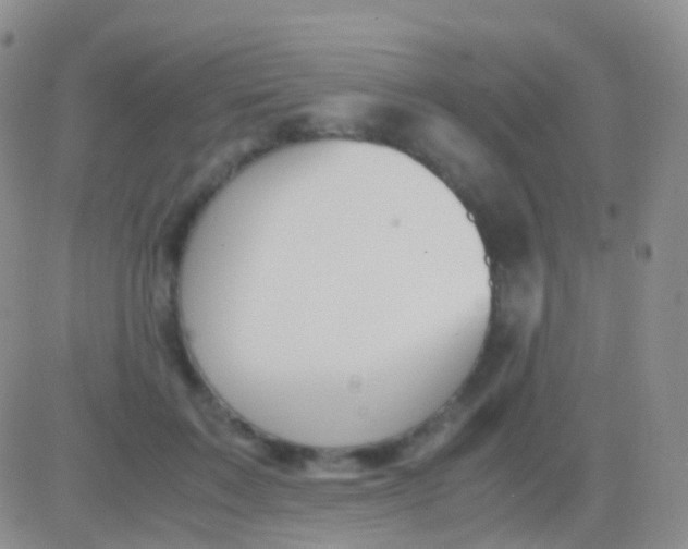 X0000083060603200702232023