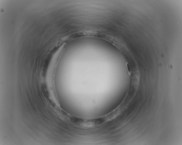 X0000083060604200702232023