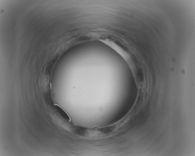 X0000083060605200702232023