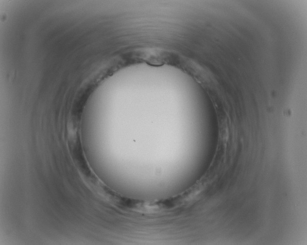 X0000083060607200702232023