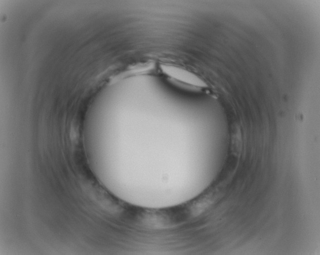 X0000083060608200702232023