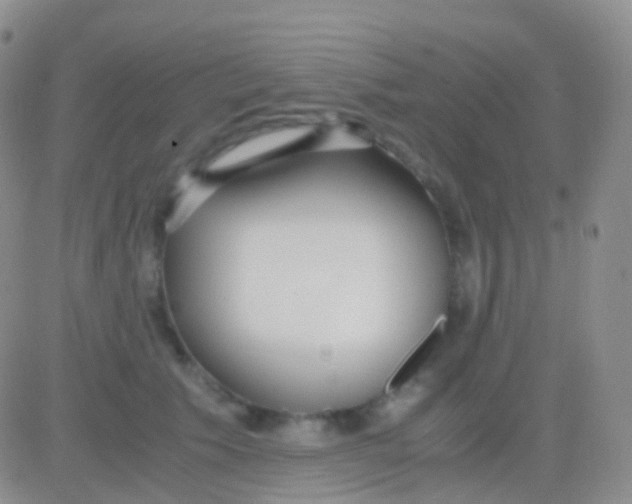 X0000083060609200702232023