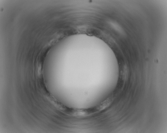 X0000083060610200702232023