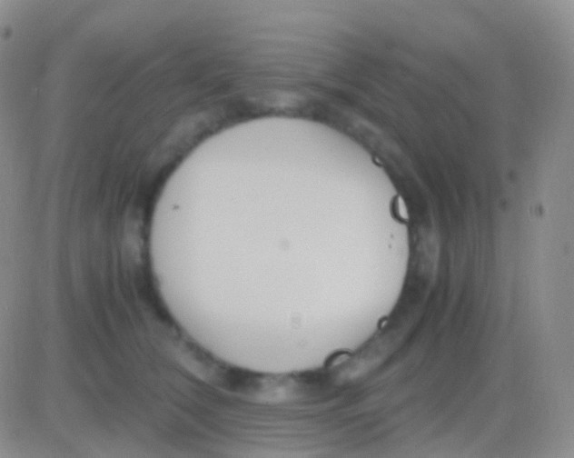 X0000083060612200702232023