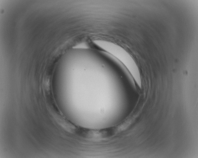 X0000083060613200702232023