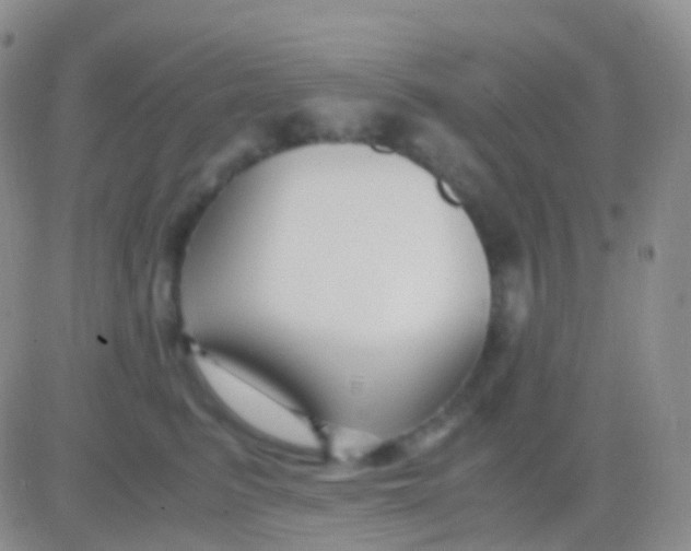 X0000083060615200702232023