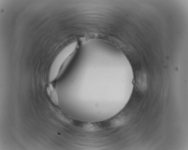 X0000083060616200702232023