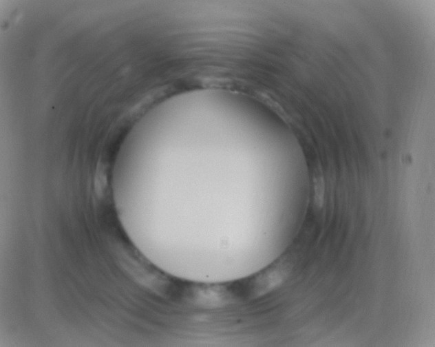 X0000083060618200702232023