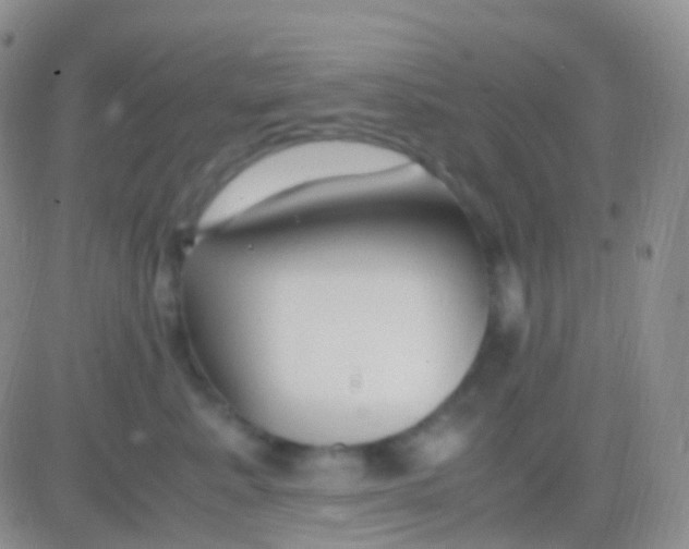 X0000083060619200702232023