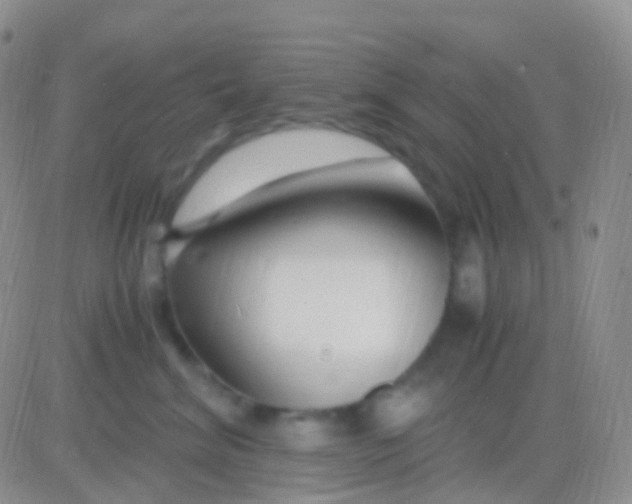 X0000083060620200702232023