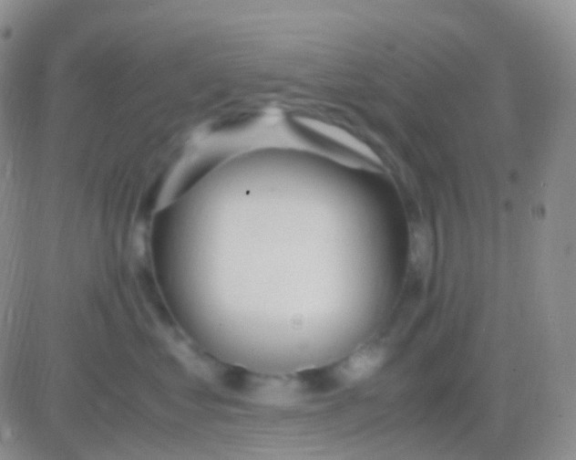 X0000083060621200702232023