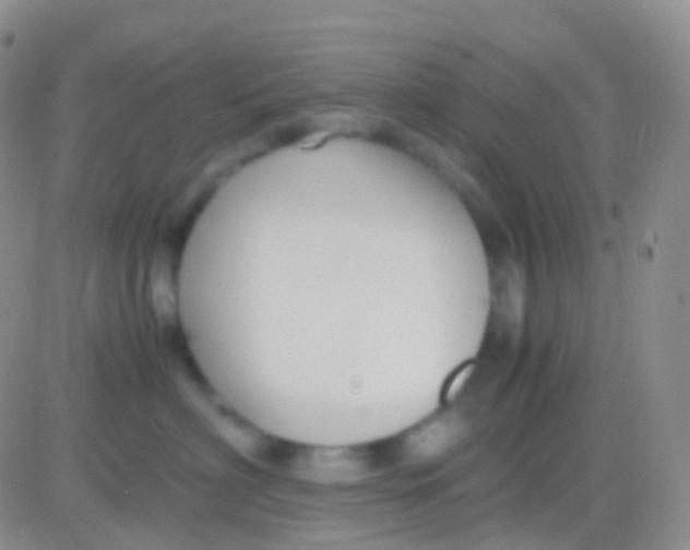 X0000083060622200702232023