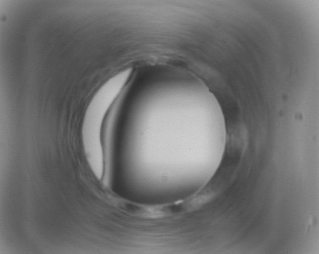 X0000083060623200702232023