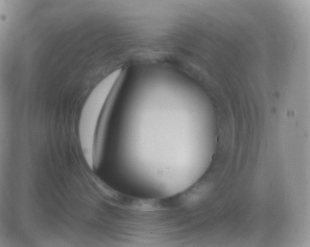 X0000083060624200702232023