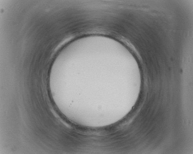 X0000083060625200702232022