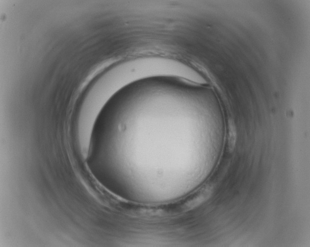 X0000083060626200702232022