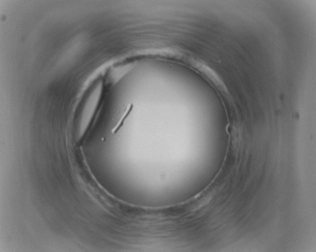 X0000083060628200702232022