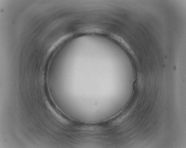 X0000083060629200702232022