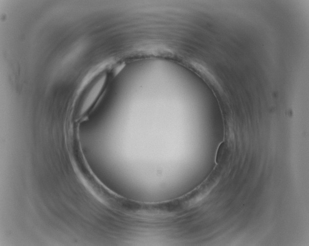 X0000083060630200702232022