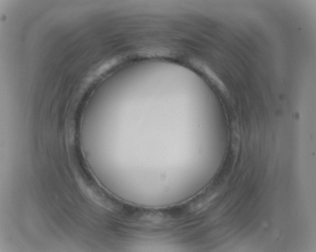 X0000083060631200702232022