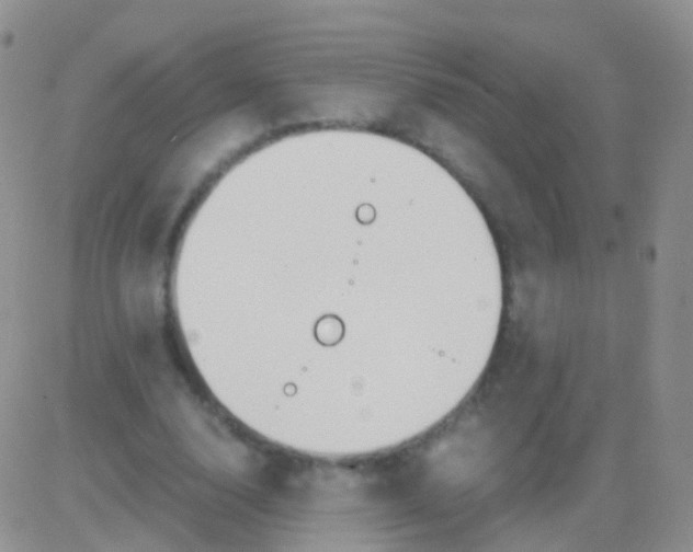 X0000083060632200702232022