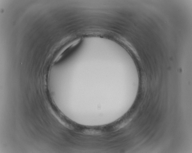 X0000083060633200702232022