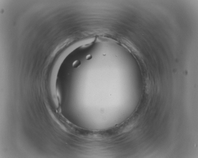 X0000083060634200702232022