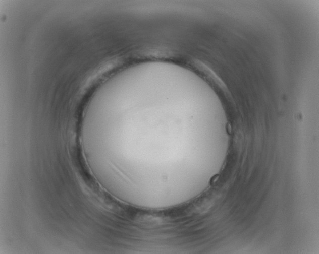 X0000083060635200702232022