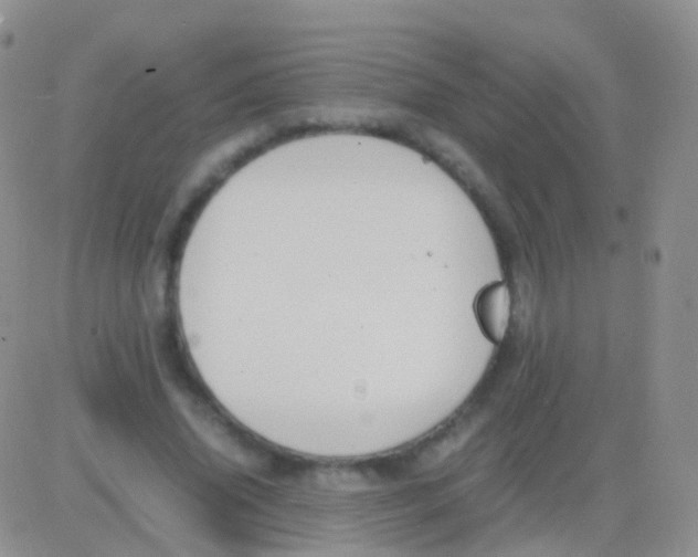 X0000083060636200702232022