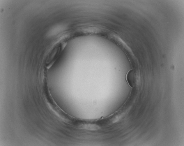 X0000083060637200702232022