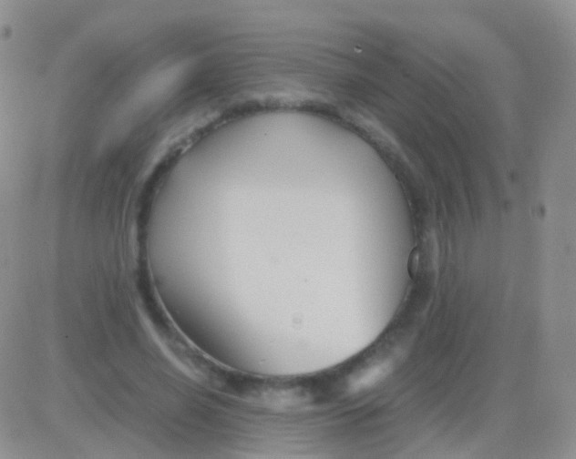 X0000083060638200702232022