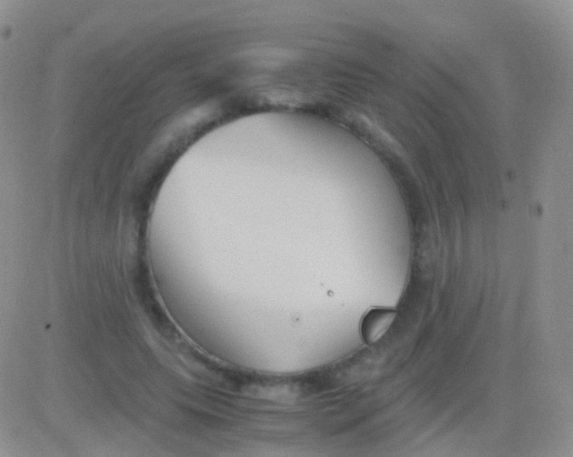 X0000083060639200702232022