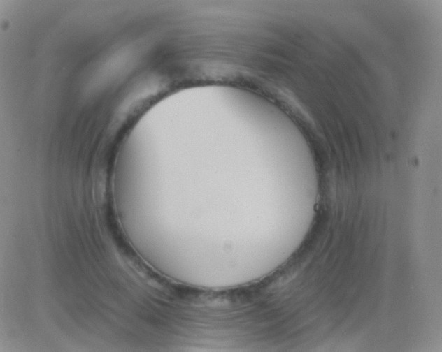 X0000083060640200702232022