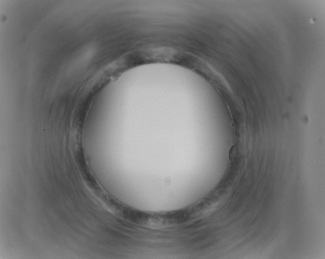 X0000083060641200702232022