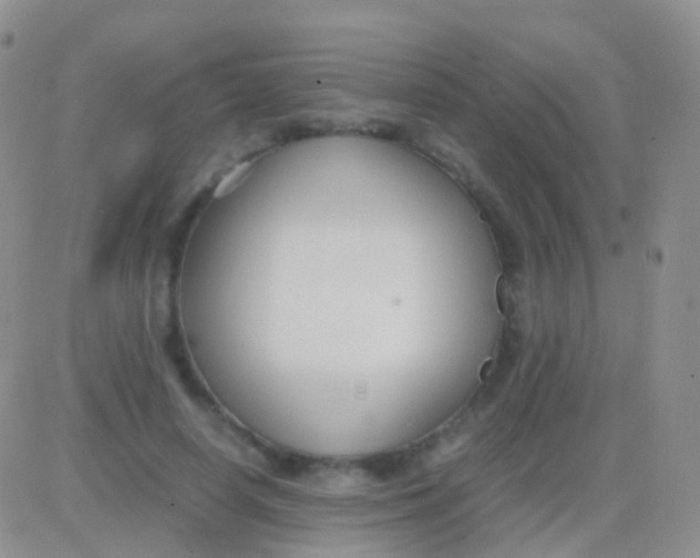 X0000083060642200702232022