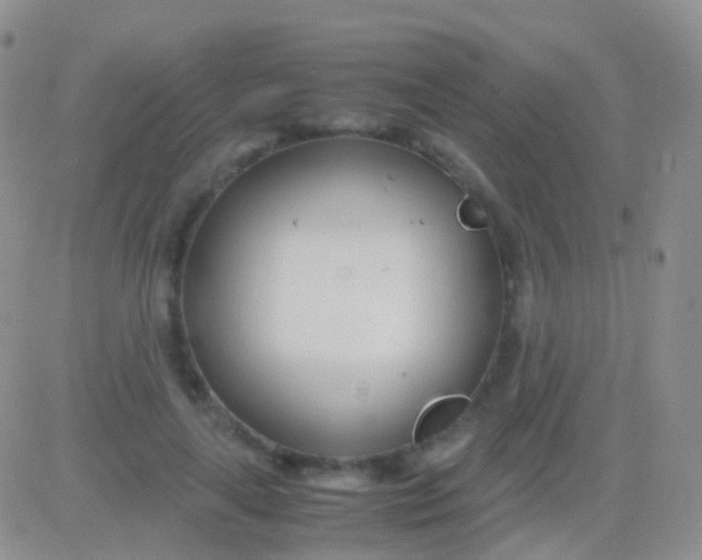 X0000083060643200702232022