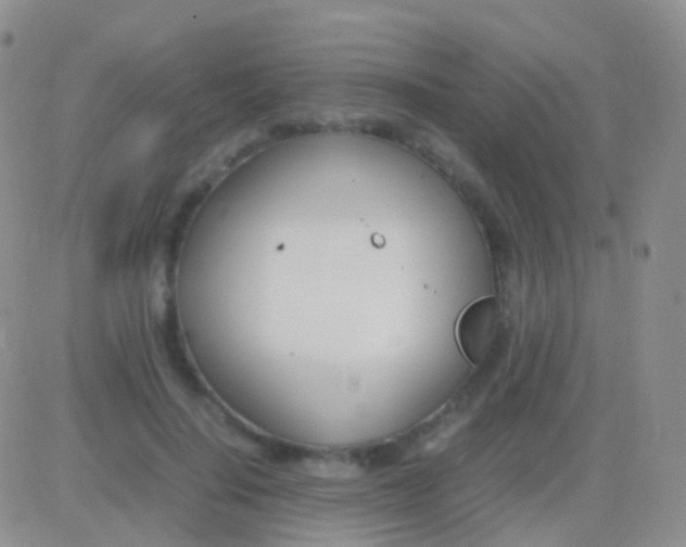 X0000083060644200702232022