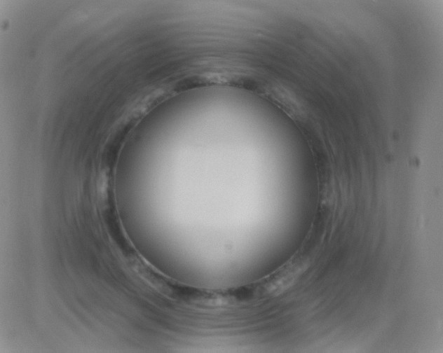 X0000083060646200702232022