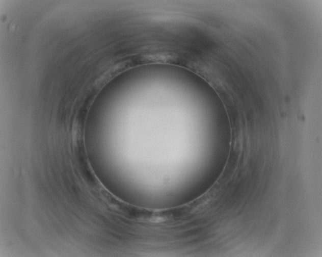 X0000083060647200702232022