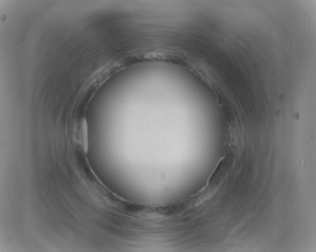 X0000083060648200702232022