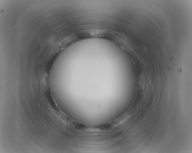 X0000083060650200702232022