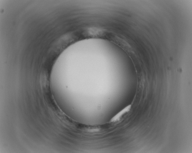 X0000083060651200702232022