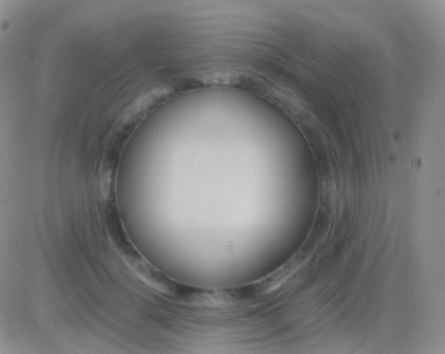 X0000083060652200702232022