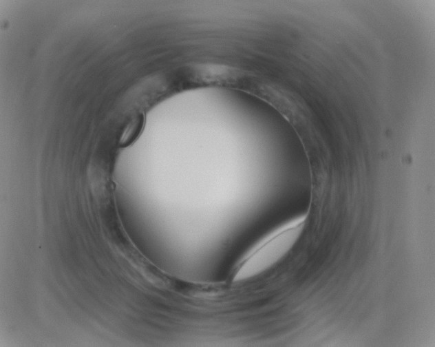 X0000083060653200702232022